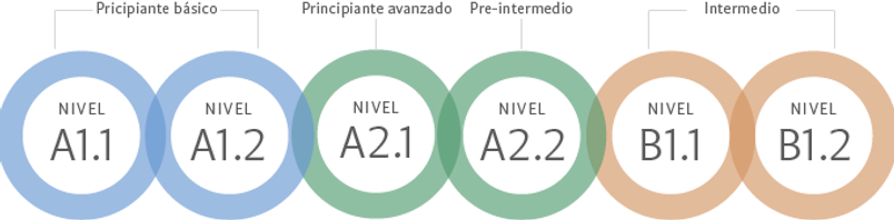 niveles español.png