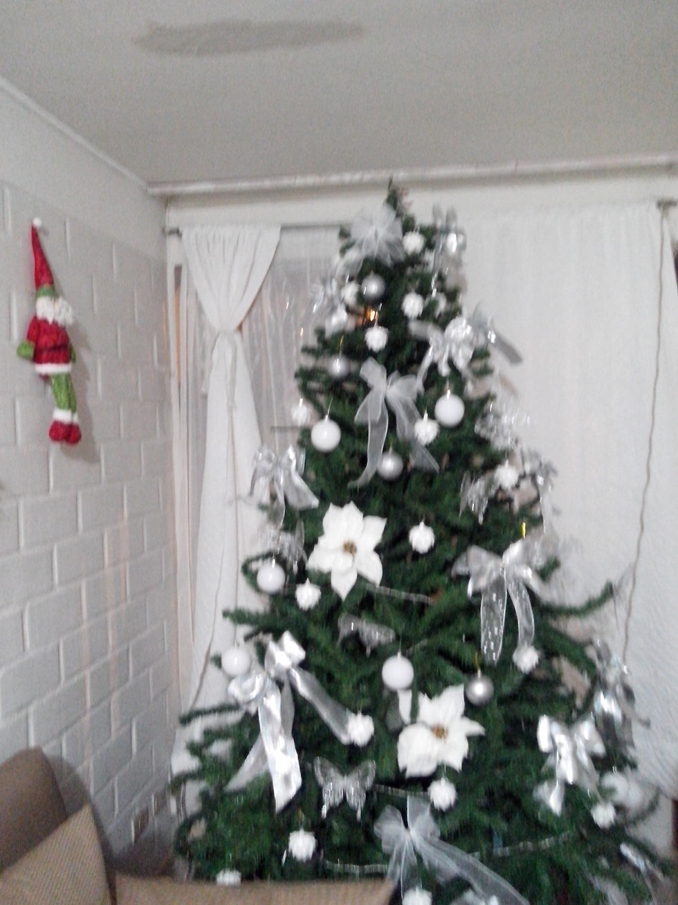 IMG_20131211_004505.jpg