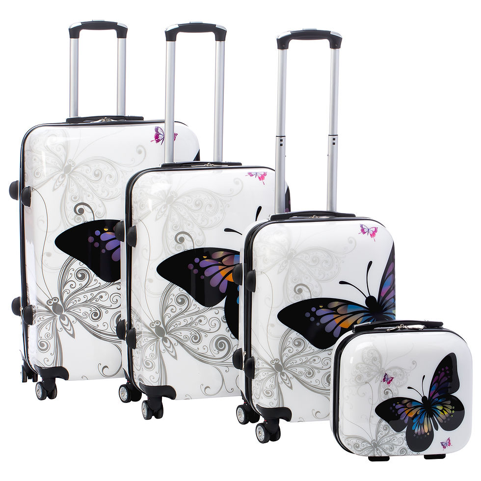 World Traveler Butterfly 4-Piece Hardside Spinner Luggage Set