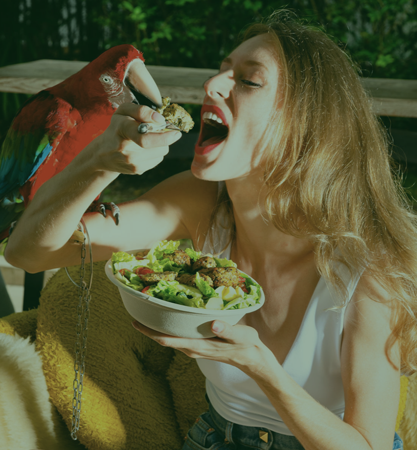 Meal Suggestions.png