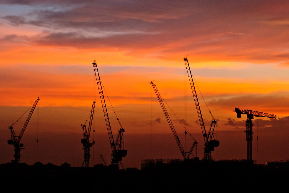 multiple cranes with sunset in the background