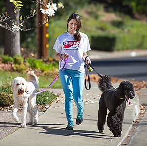 img-dog_walking.jpg