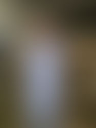 Pagode de Segunda | 14/07/25