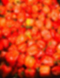 PIMENTONS-1920w_edited.jpg