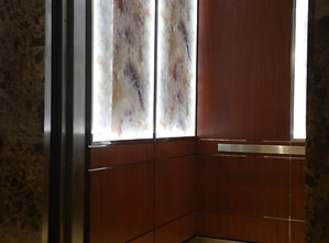 Glass Panels- Wood Veneer - Stainless S