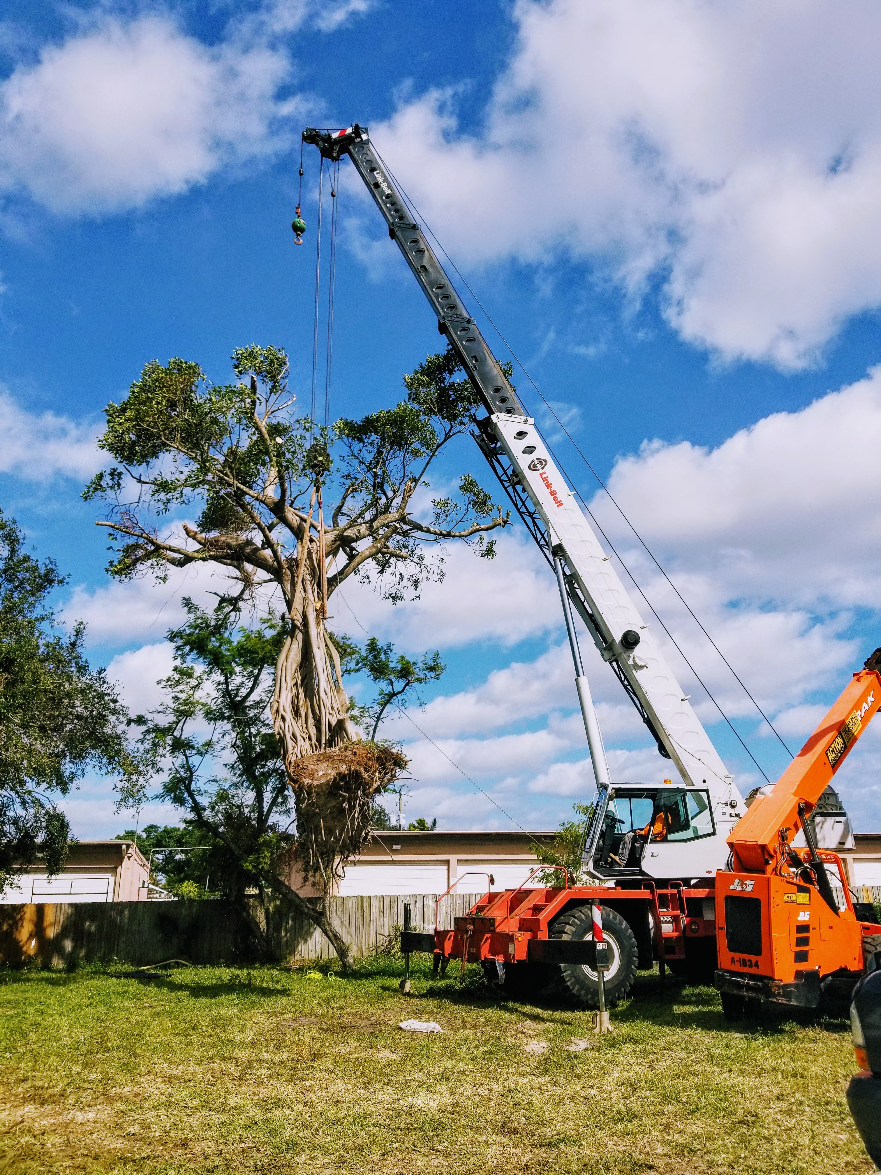 Tree & Landscaping Lifts Williams International
