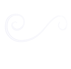 Untitled_Artwork 7.png