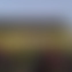 Glühwürmchen-Tag an der Sonnenbergschule