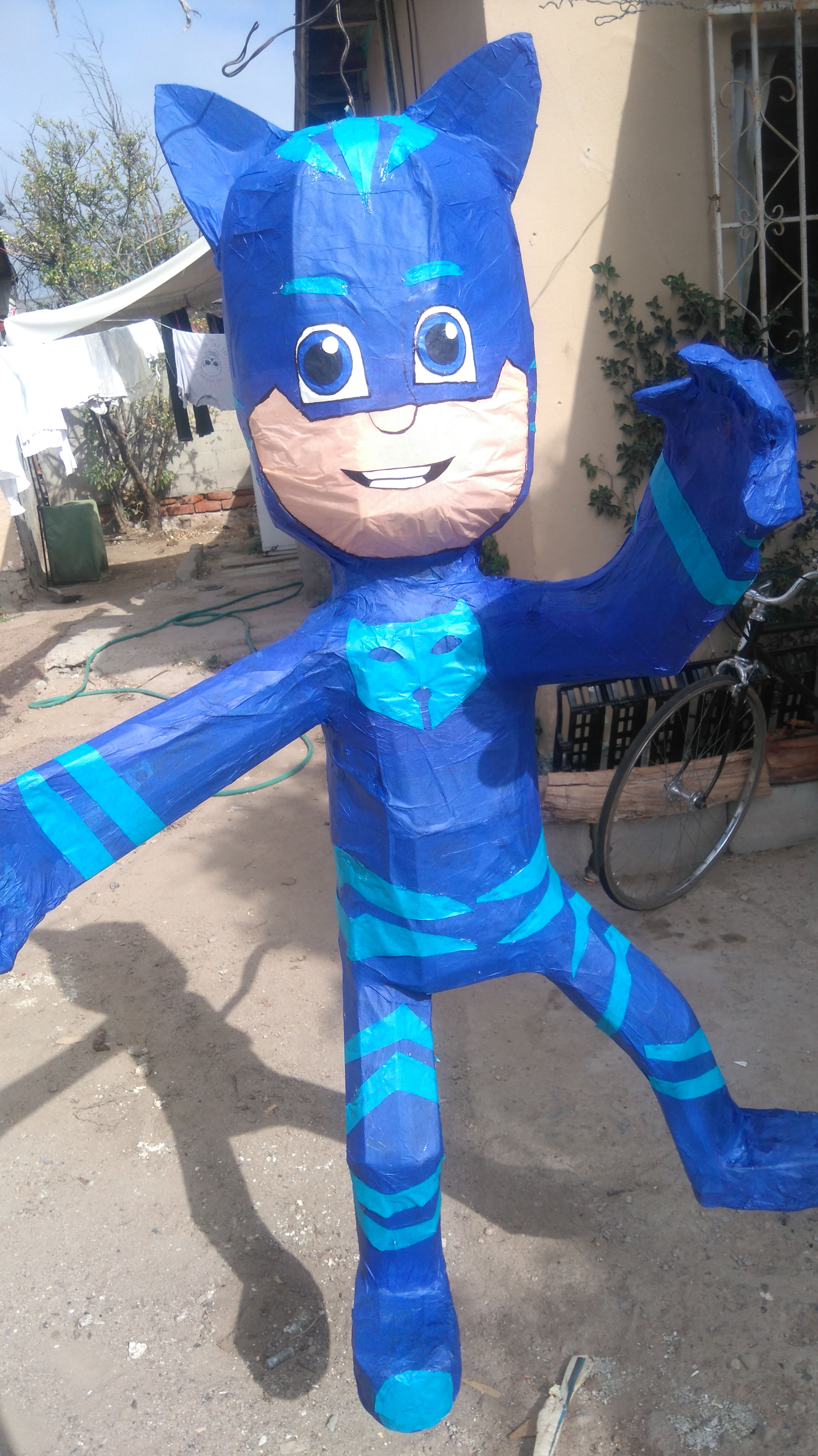 CATBOY
