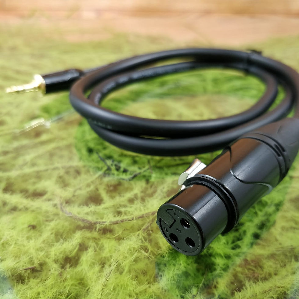 Miniatura: Cable Matters TRS a XLR de 3.5 mm (1/8 pulgadas) (macho a hembra). 6 ft