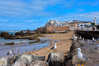 Ambre Sury Yoga - Retraite Yoga & Cheval à Essaouira | SOULnSPIRIT Gallop