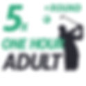 5x One Hour Adult Golf Lesson + Round