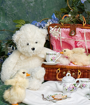 iStock-178574105.jpg