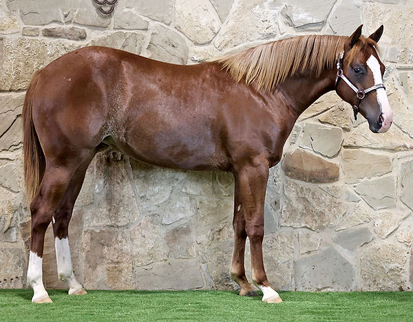 Sweet Little Outlaw.jpg