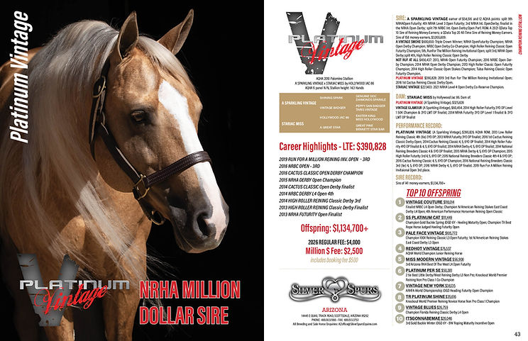 Silver Spurs 26 book17.jpg