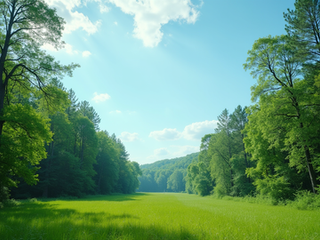 Discover Eco-Friendly Adventures with Extreme EcoTours