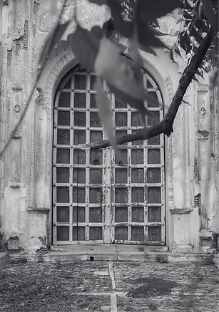 Untitled design (3).png