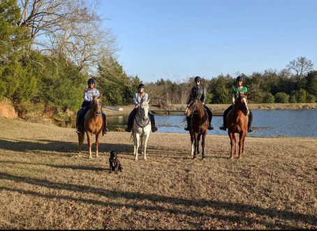 Learning & Understanding through Horseback Riding