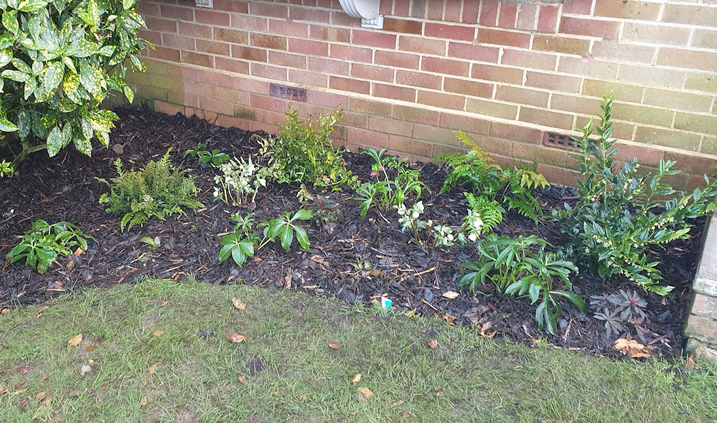 Shade planting