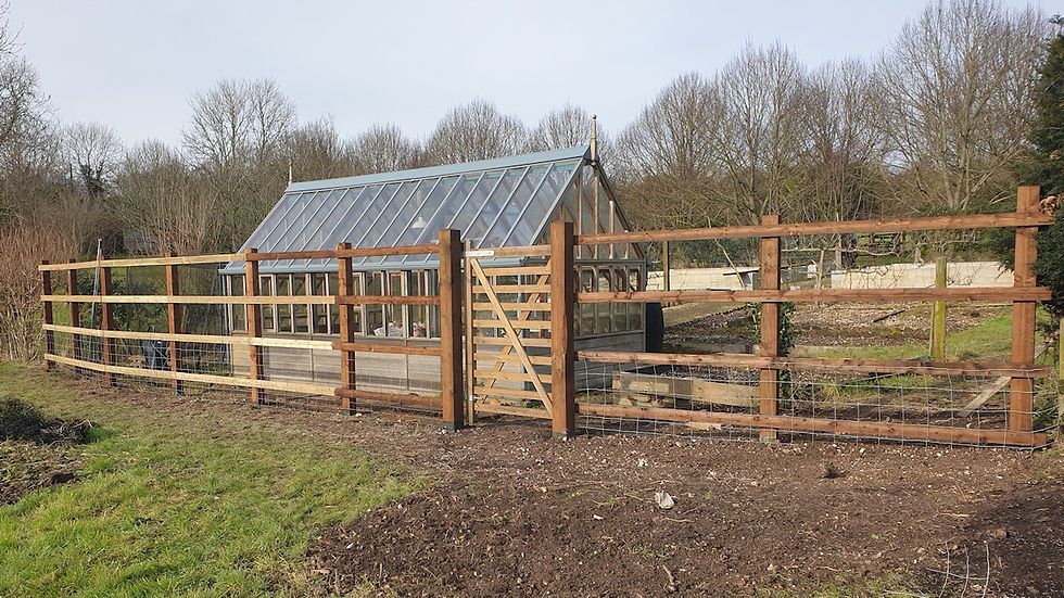 Field gate and fence