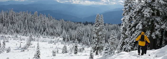 Winter Trekking