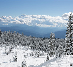 Winter Trekking 