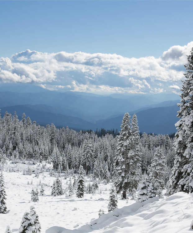 Trekking d'hiver