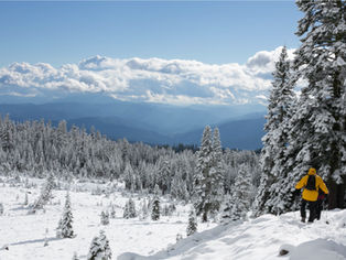 Parashat Vayechi: The Inheritance of Silence