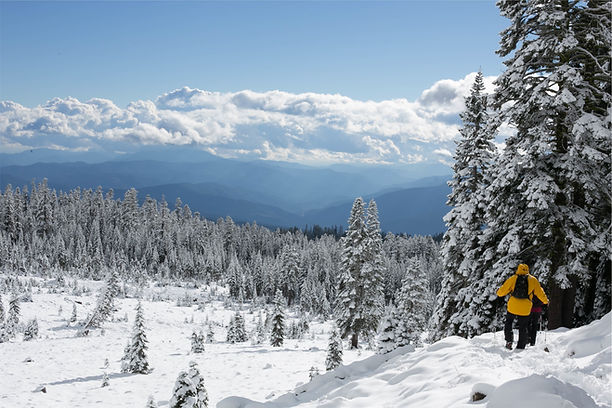 Winter Mountain Landscape