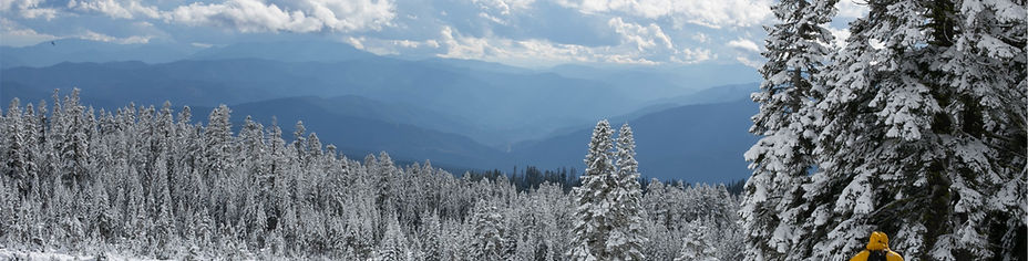 Winter Trekking 