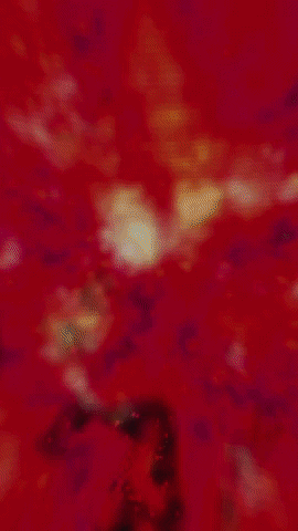 bmaisca_RET_IMTRL_gif1.gif