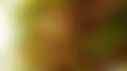 PÖÖRIPÄEVA LÄBIMURRE – ALGAB TEOSTAMISE AEG!