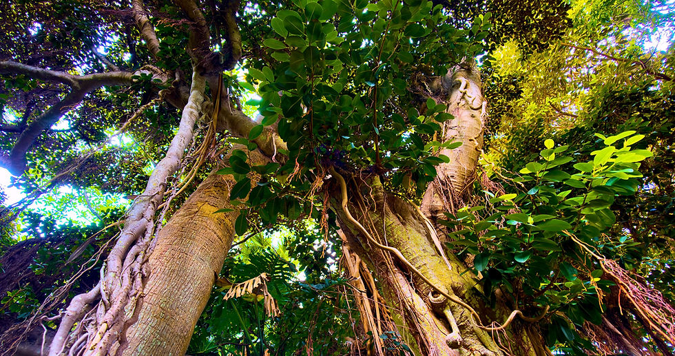 Kolm võimsat sündmust korraga!
