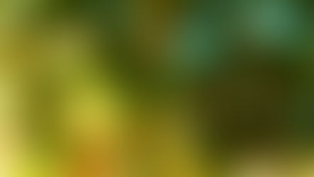 Sinu seisund loob sündmuse 48-tunni jooksul