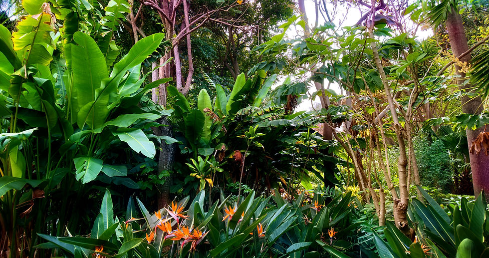 KEHA LOEB AJAJOONT ETTE!