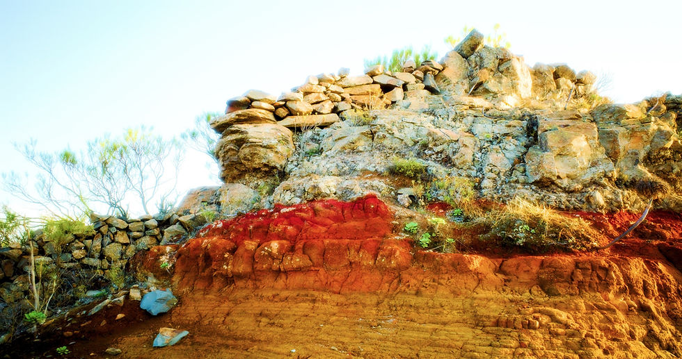 Kümnepäevane transformatsiooni koridor