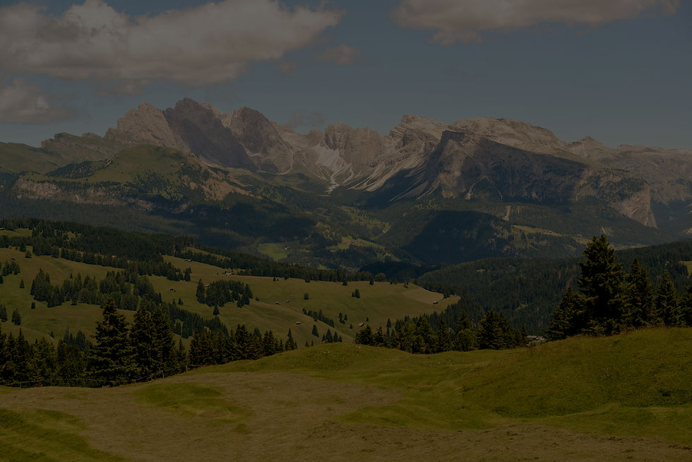 ales-krivec-yIkD6xtaUgk-unsplash_edited_edited.jpg