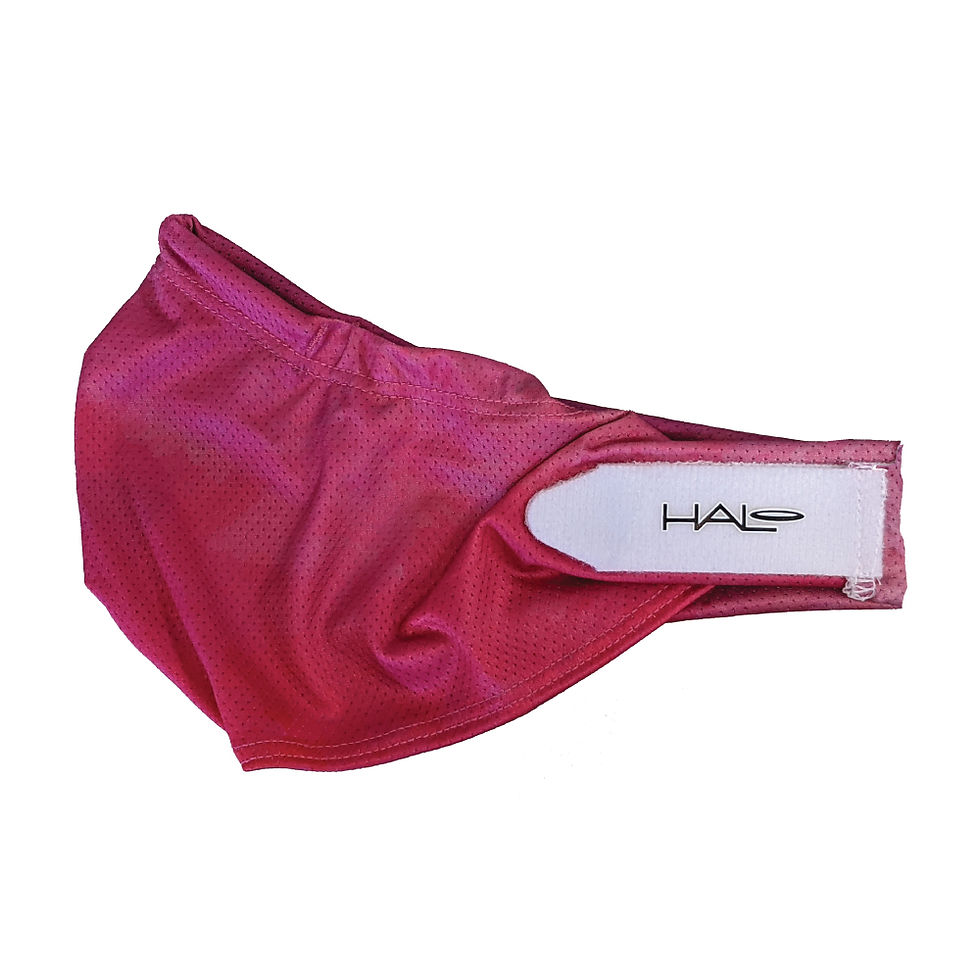 Adjustable Mask Fuschia