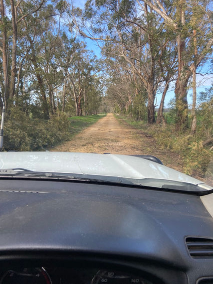 A straight, unpaved dirt road stretches into the distance.