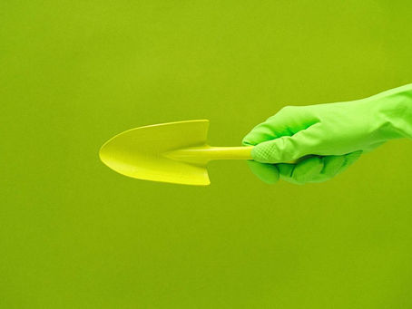 Sustainability in Cannabis: How the Industry is Going Green