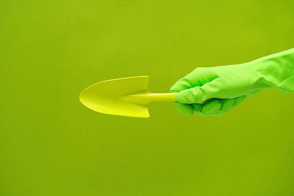Sustainability in Cannabis: How the Industry is Going Green