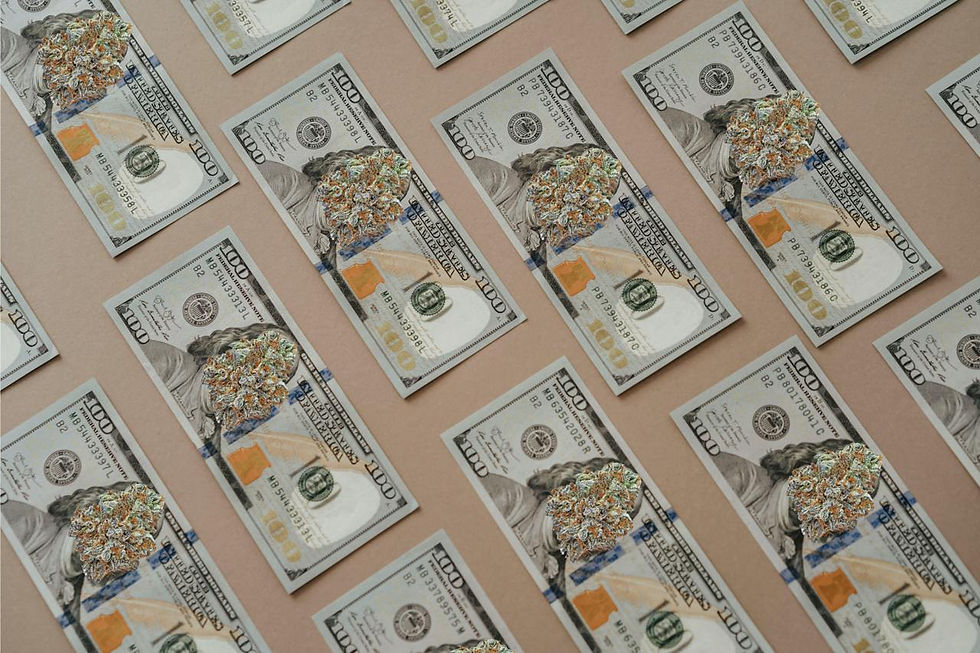 The Future of Cannabis Banking: Challenges and Solutions
