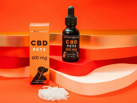Medical Cannabis for Pets: What You Need to Know