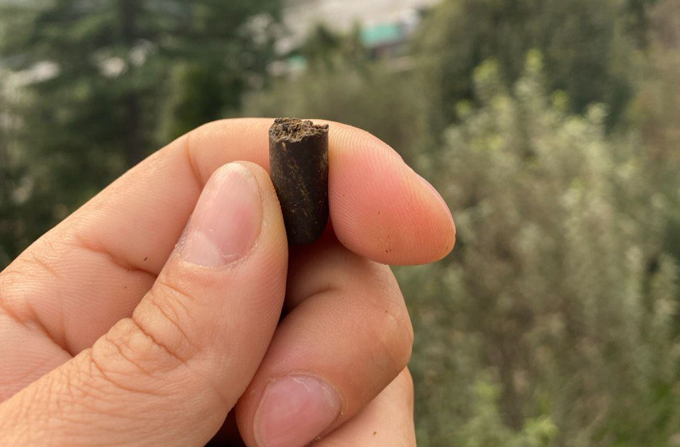 What is Hashish
