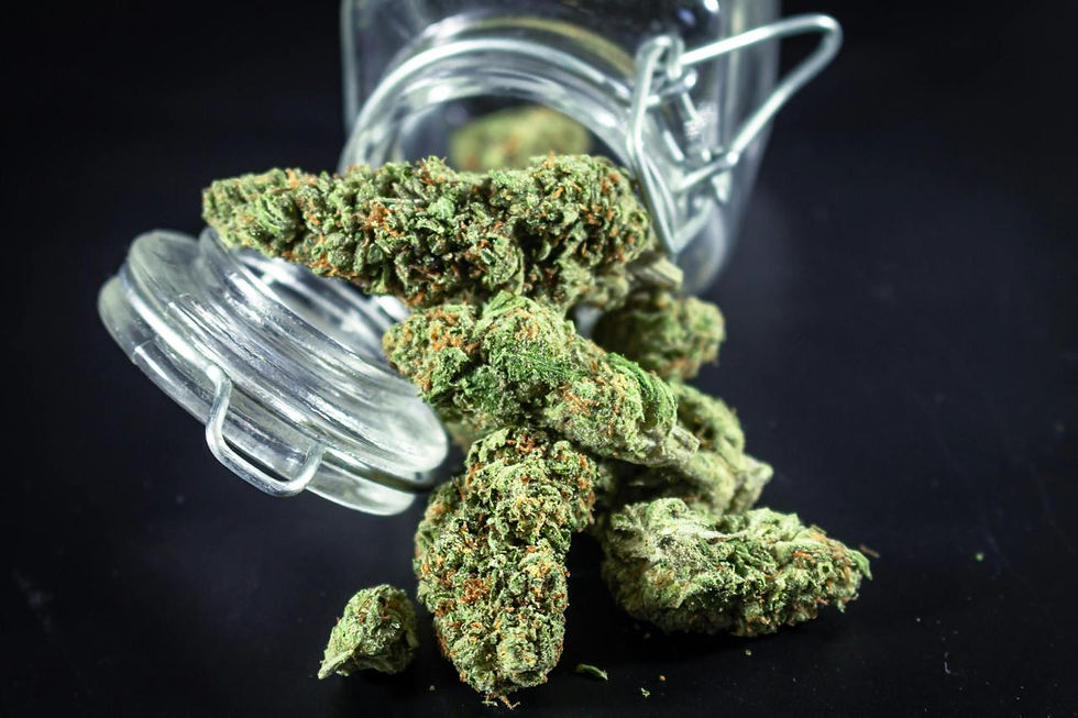 Tips for Storing Cannabis