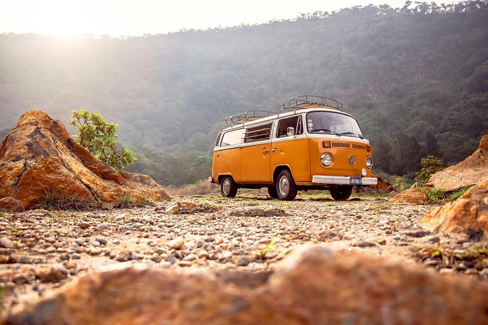 Cannabis-Infused Travel