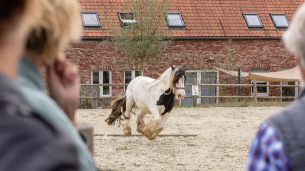 Opendeurdag Pionears Herbronhuis en Pionears Paardenwereld vzw