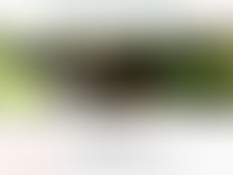 C'est la rentrée à la Cabane des sources ! 