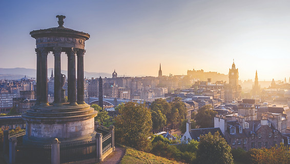 calton_hill_rabbies_1.jpg