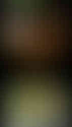 my website on mobile then